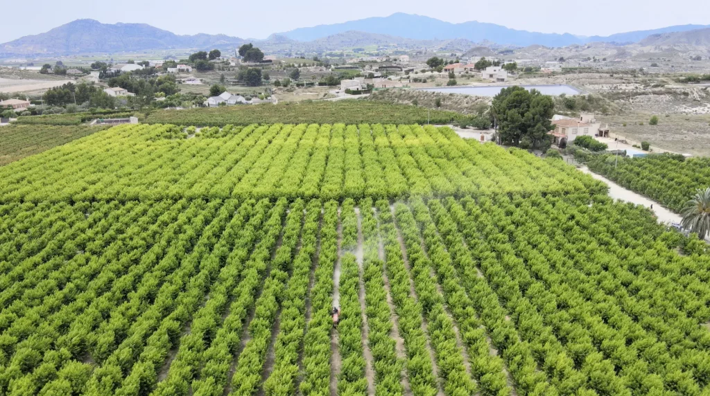Maximizando la Productividad Agrícola y Ganadera con Agringenia